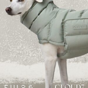 Wintermantel Alaska Cloud 7 Dusty Mint