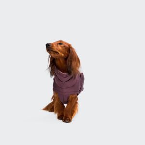 Wintermantel Alaska Cloud 7 Dark Aubergine Dachshund
