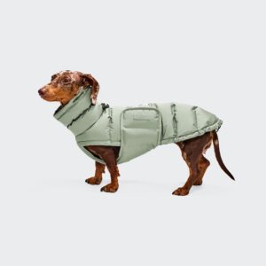 Wintermantel Alaska Cloud 7 Dusty Mint Dachshund
